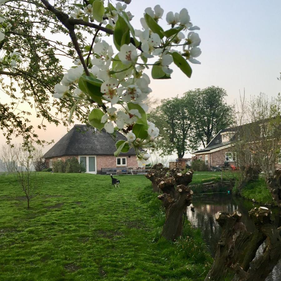 Groeten Uit Hoogmade - Rural Cottage 外观 照片