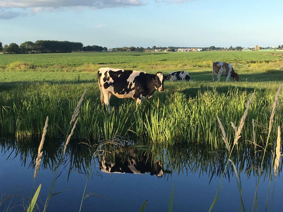 Groeten Uit Hoogmade - Rural Cottage 外观 照片
