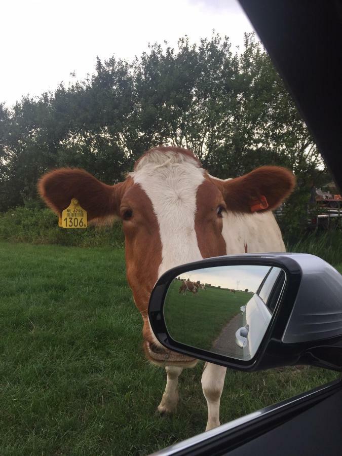 Groeten Uit Hoogmade - Rural Cottage 外观 照片